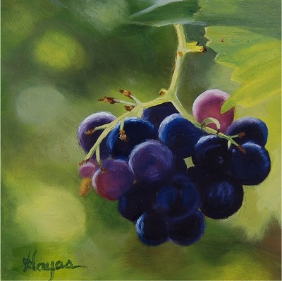 Grapes    5 x 5    oil on panel