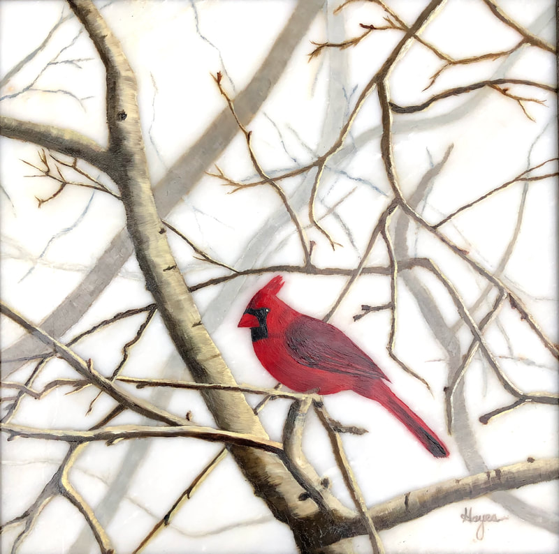 Winter Cardinal